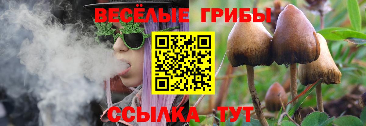 Псилоцибиновые грибы мицелий Ростов-на-Дону